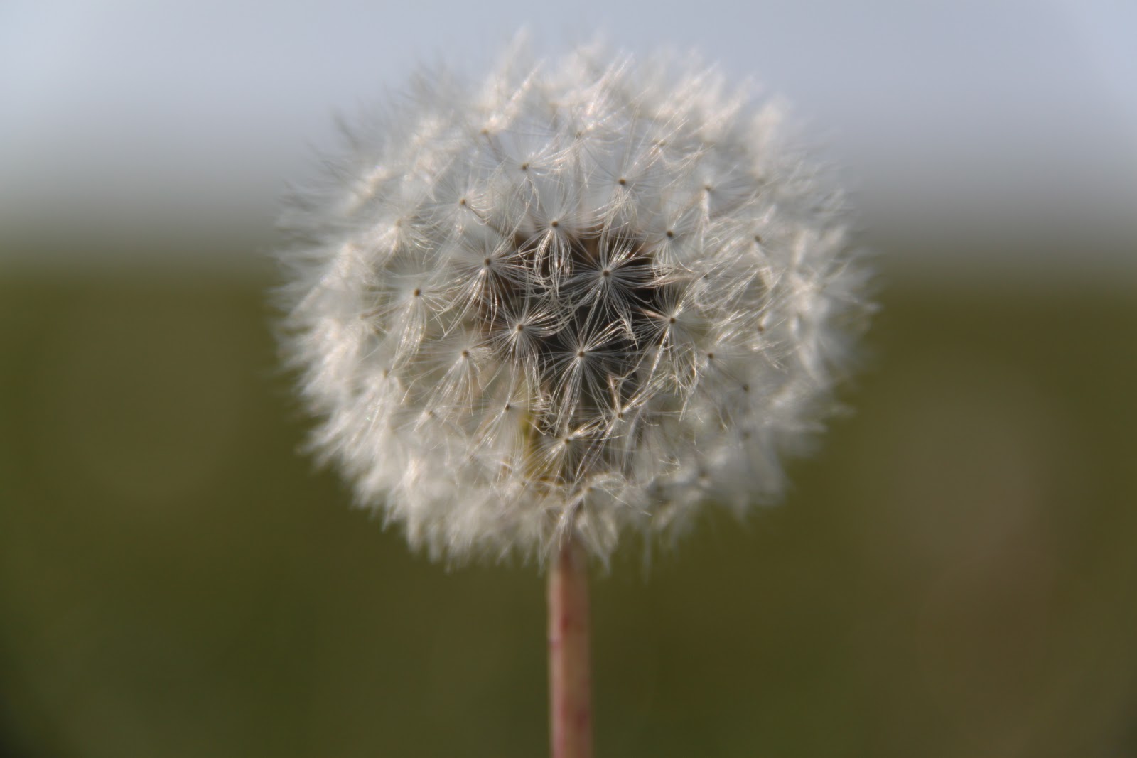 Acompañar la vida al final