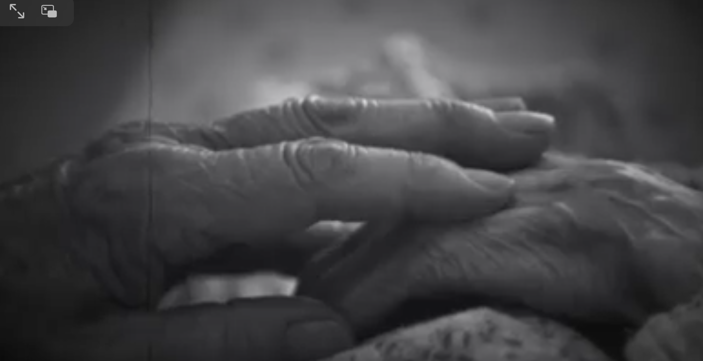 ¡Contempla el Misterio!